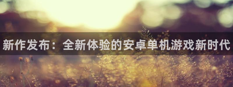 多彩娱乐平台官方网站：新作发布：全新体验的安卓单机游戏新时代