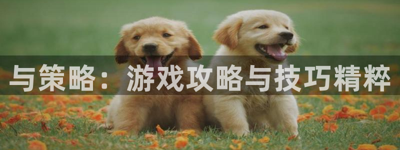 多彩娱乐网页登录入口下载：与策略：游戏攻略与技巧精粹