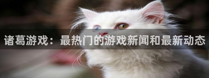 多彩娱乐平台官网注册：诸葛游戏：最热门的游戏新闻和最新动态