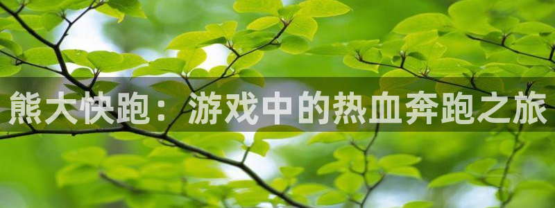 多彩娱乐娱乐：熊大快跑：游戏中的热血奔跑之旅