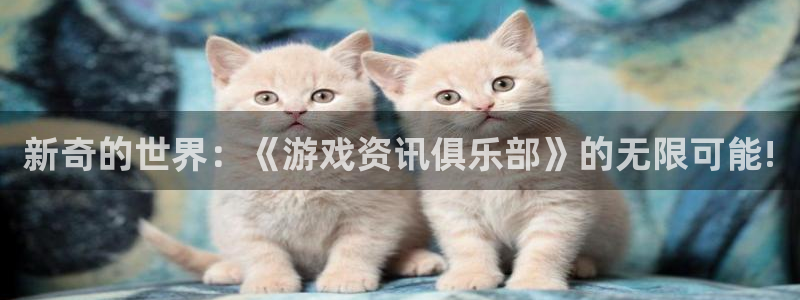 多彩娱乐平台注册资金多少：新奇的世界：《游戏资讯俱乐部》的无