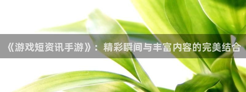 多彩娱乐2首页登录：《游戏短资讯手游》：精彩瞬间与丰富内容的