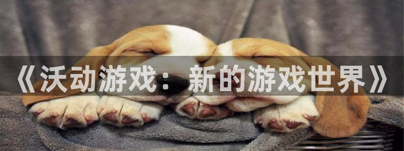 手机多彩娱乐下载安装：《沃动游戏：新的游戏世界》