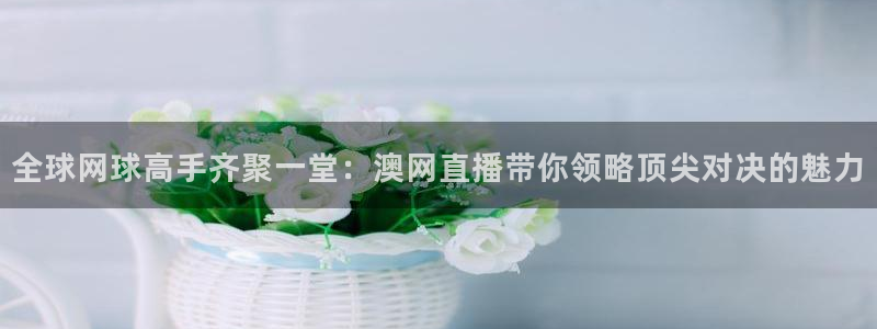 蜘蛛足球：全球网球高手齐聚一堂：澳网直播带你领略顶尖对决的魅力