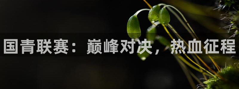 蜘蛛体育免费直播：国青联赛：巅峰对决，热血征程