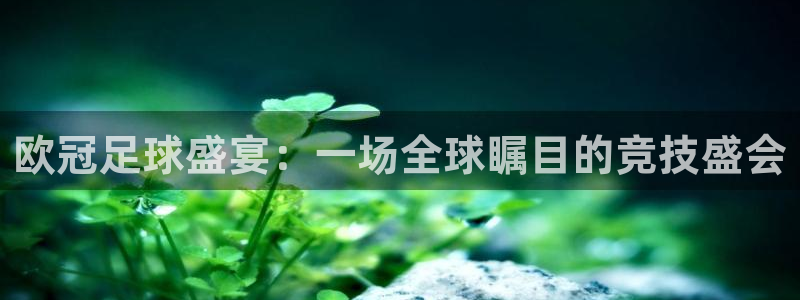 蜘蛛直播体育足球：欧冠足球盛宴：一场全球瞩目的竞技盛会