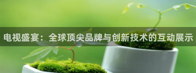 蜘蛛体育：电视盛宴：全球顶尖品牌与创新技术的互动展示