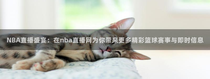 蜘蛛直播高清体育免费下载：NBA直播盛宴：在nba直播网为你带来更多精彩篮球赛事与即时信息