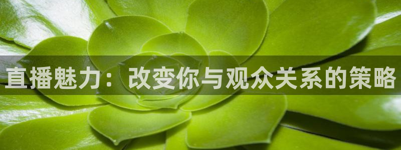 蜘蛛直播体育nba：直播魅力：改变你与观众关系的策略